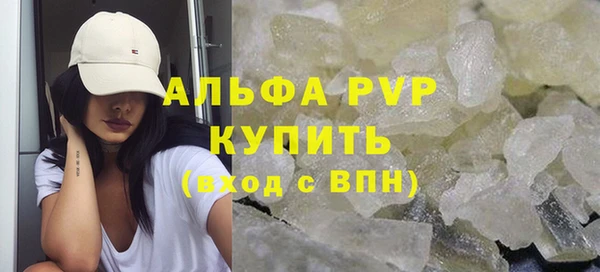 индика Балахна