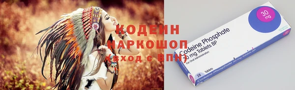 индика Балахна
