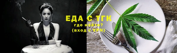 индика Балахна