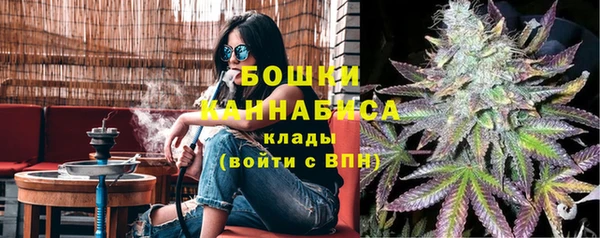 индика Балахна