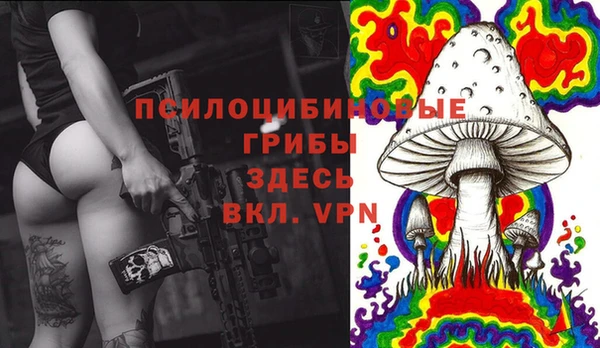 индика Балахна