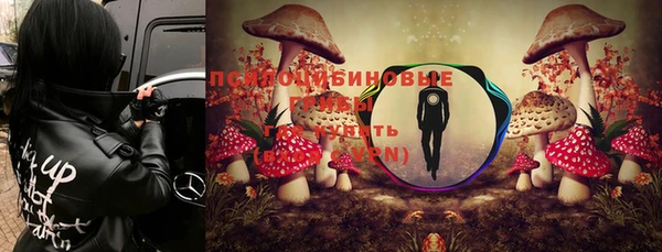 индика Балахна