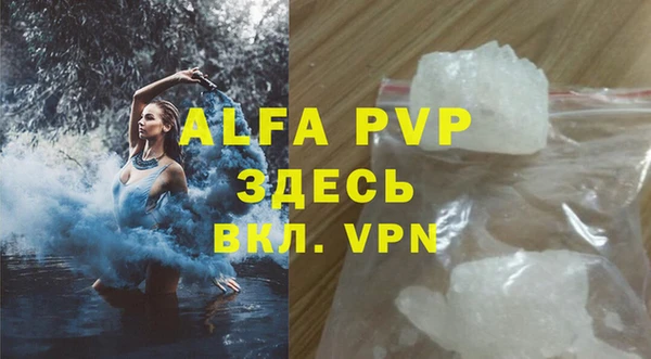индика Балахна